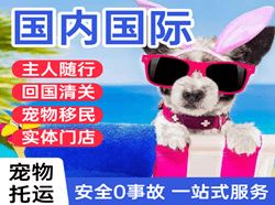 普陀山空运公司国际宠物托运 【国